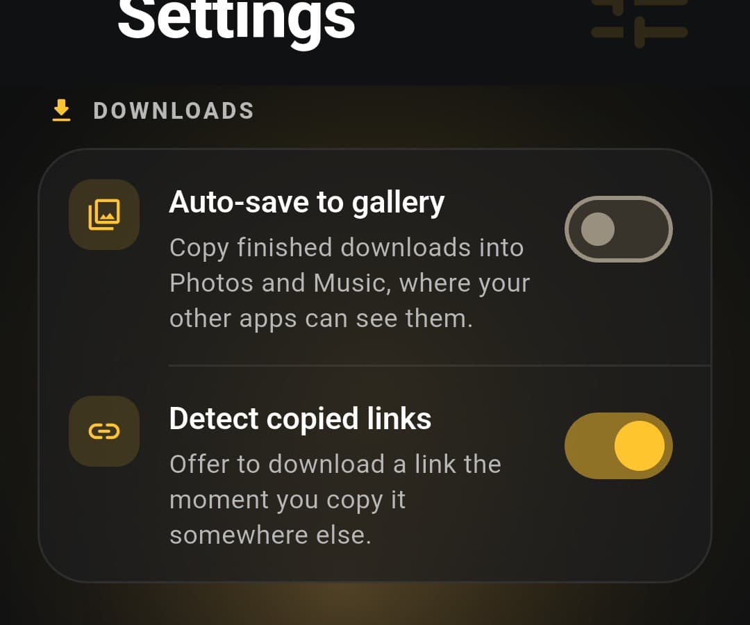The Settings screen showing the Downloads section